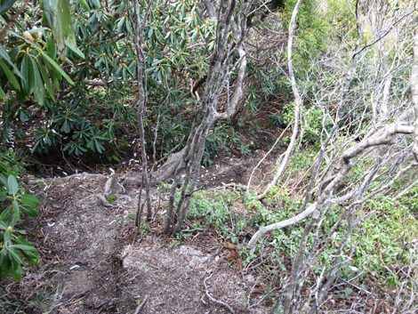 20140502hike (163)